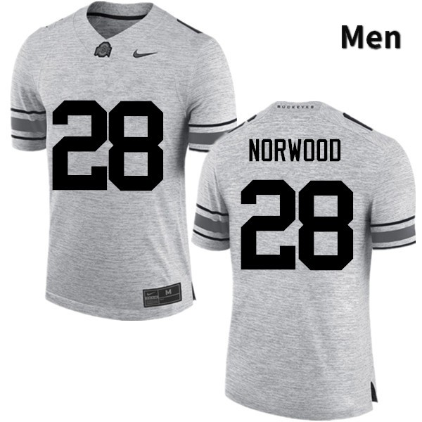 Ohio State Buckeyes Joshua Norwood Men's #28 Gray Game Stitched College Football Jersey